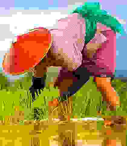 img-cap-15