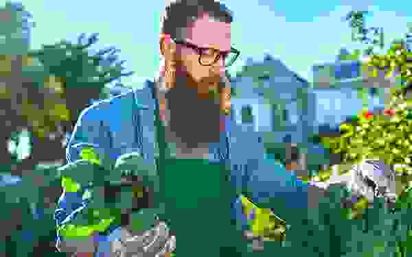 img-cap-19