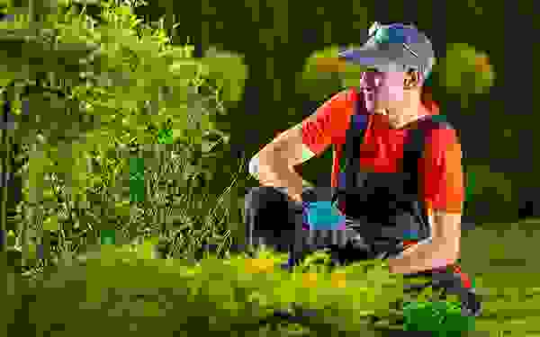 img-cap-22