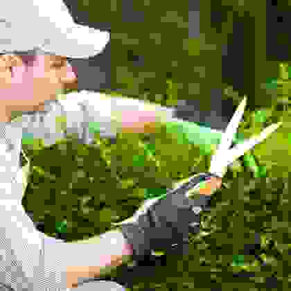 img-cap4