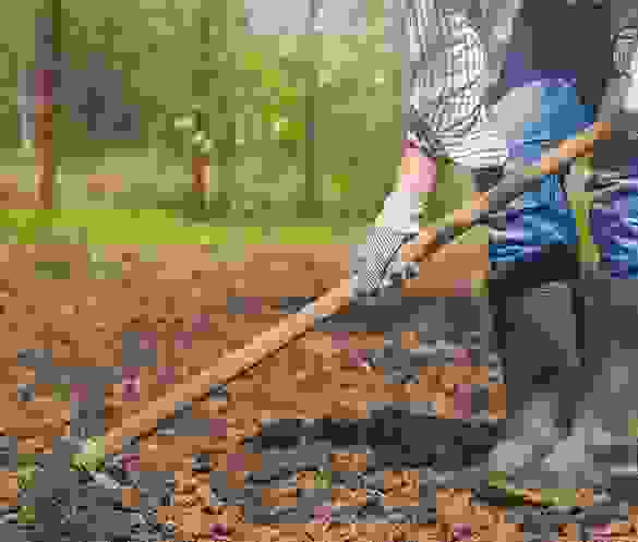 tab12