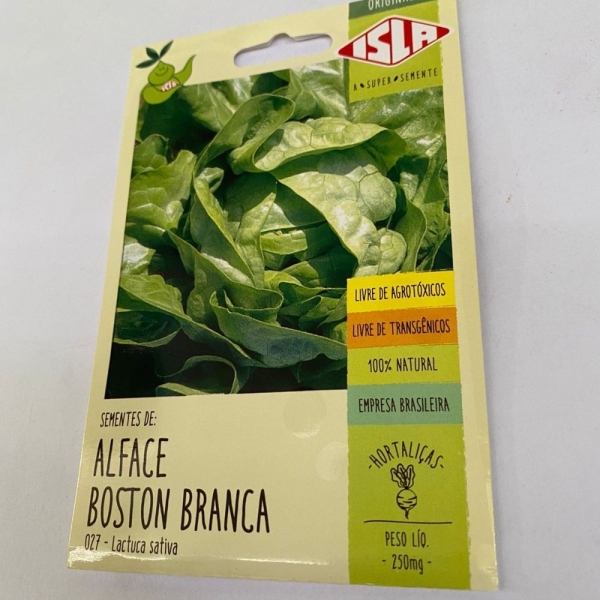 Envelope Alface Boston Branca