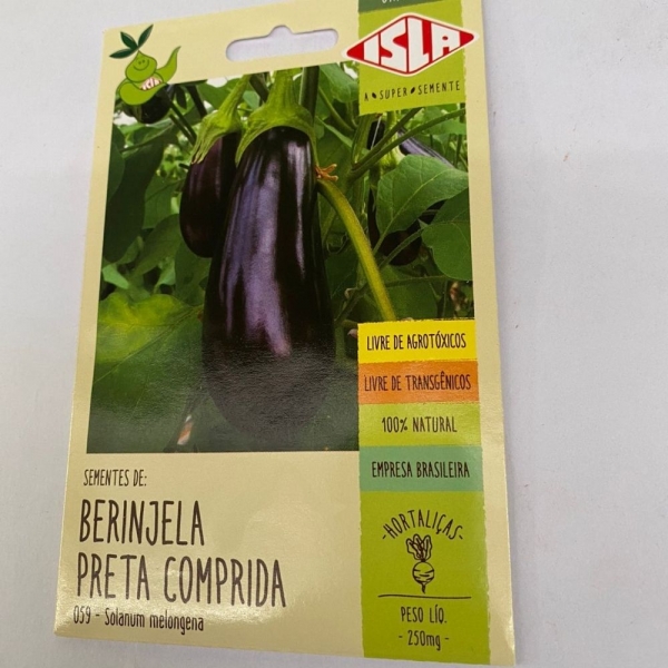 Envelope Berinjela Preta Comprida