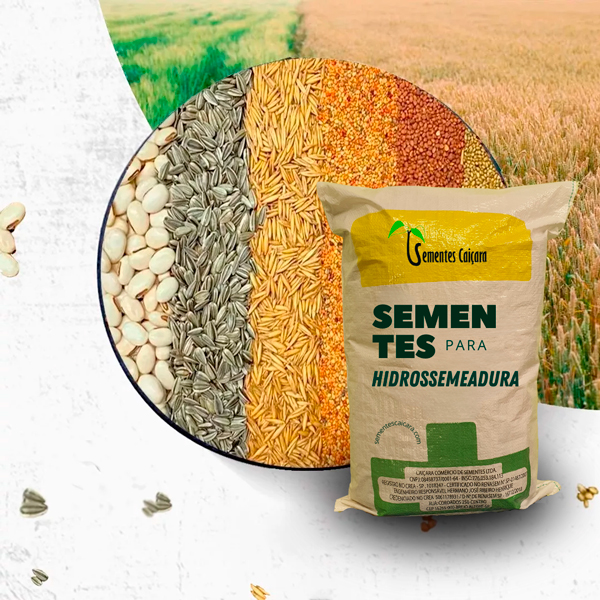 Mix de Sementes Para Hidrossemeadura