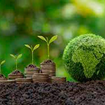 Pecuária-regenerativa-e-agricultura-de-sustentabilidade-o-futuro-passa-por-aqui