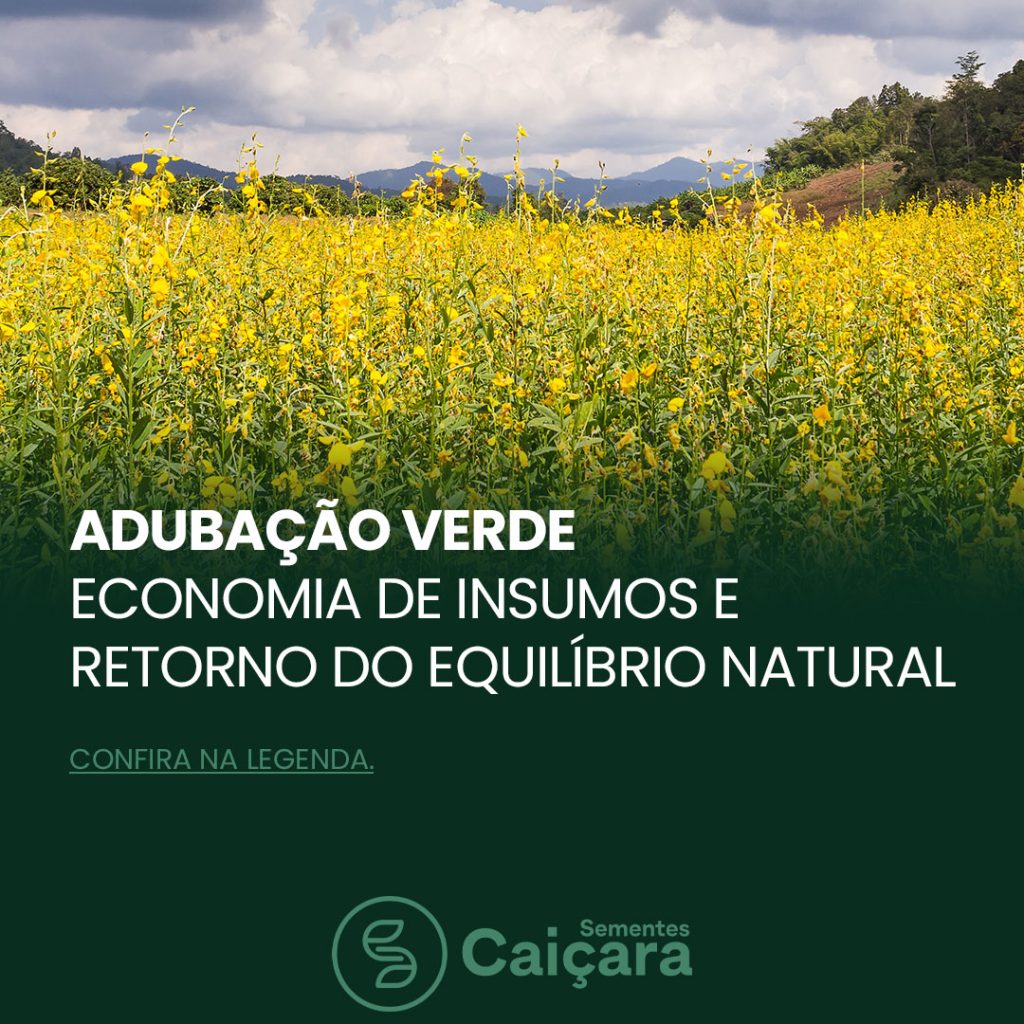 Adubação verde economia de insumos e retorno do equilíbrio natural